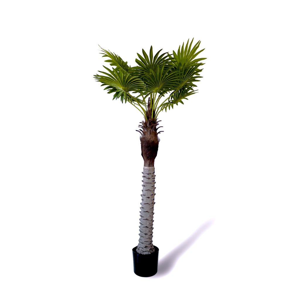 Palmeira 150cm